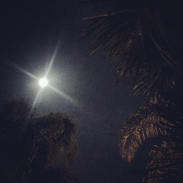 La luna vino a la fragua con su polisón de nardos. El niño la mira, mira. El niño la está mirando.  #Lorca #RomanceroGitano #buenasnoches #nightnight
